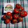 Campari tomato seeds | €1.85