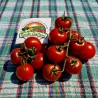 Campari tomato seeds | €1.85