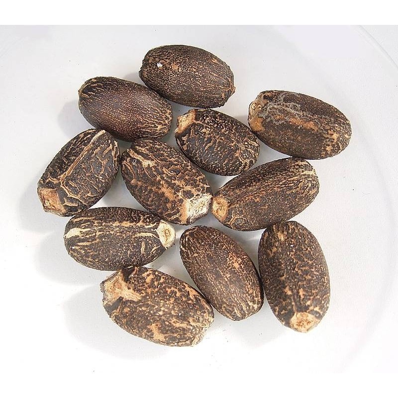 Price: €3.75 - Semințe de nuci fizice (Jatropha curcas) - 