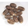 Price: €3.75 - Semințe de nuci fizice (Jatropha curcas) - 