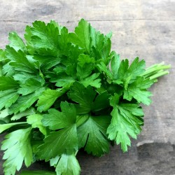 Price: €8 - Semi (6.000) Di Prezzemolo Gigante Piatto (Petroselinum Crispum) - 