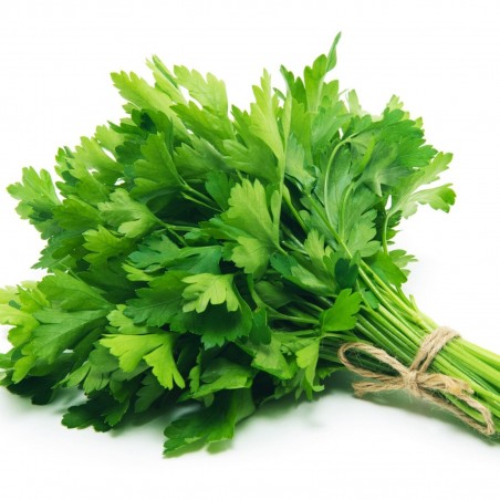 Price: €8 - Semi (6.000) Di Prezzemolo Gigante Piatto (Petroselinum Crispum) -