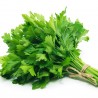 Price: €8 - Semillas (6.000) De Perejil Aromática - 