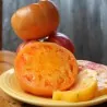 Semillas de Tomate Persimmon Orange