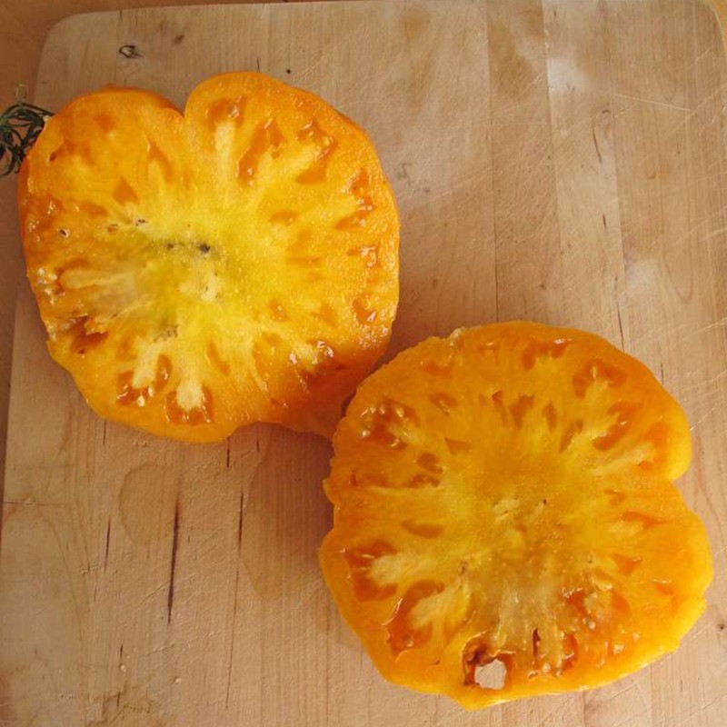 Price: €1.85 - Sementes de Tomate Persimmon Orange - Seeds Gallery
