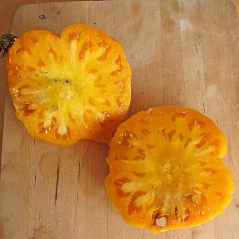 Semillas de Tomate Persimmon Orange