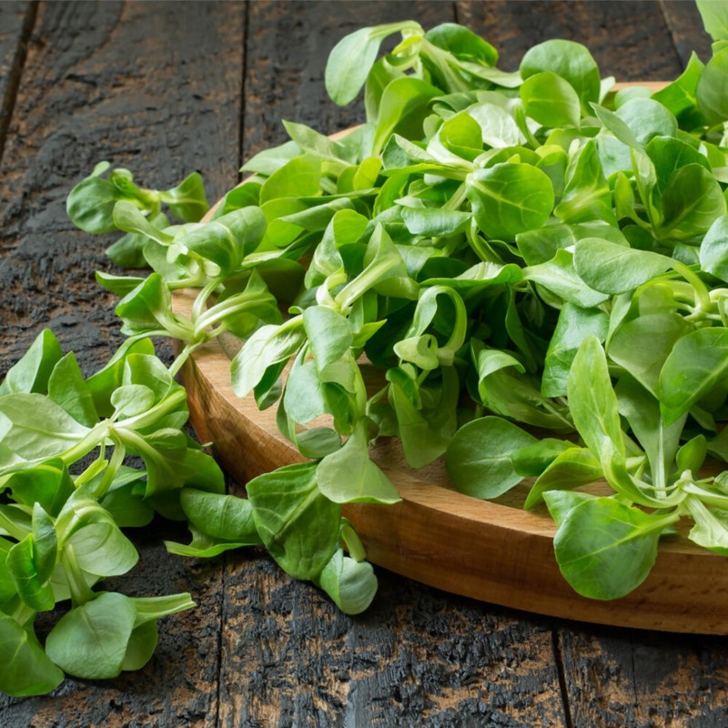 Price: €6 - Gewöhnliche Feldsalat 2000 Samen - 