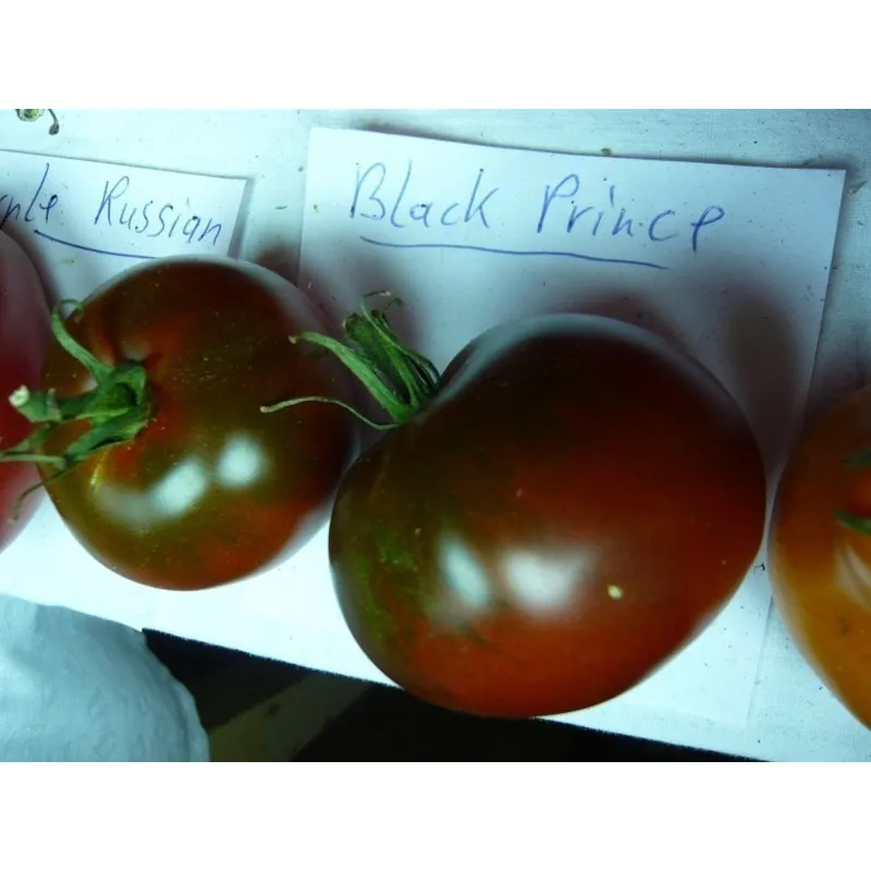 Graines de tomate ancienne noire "Black Prince"