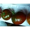 Tomatfrön Black Prince