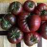Black Krim Tomaten Samen