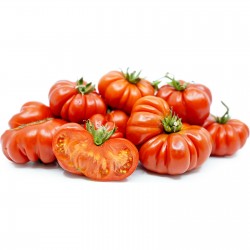 Price: €1.65 - Semi di pomodoro Costoluto Genovese - Seeds Gallery