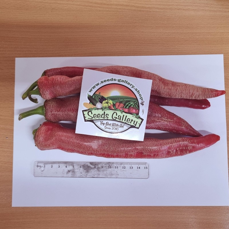 Price: €1.95 - Sementes pimenta Vezanka antigo variedade sérvio - Seeds Gallery