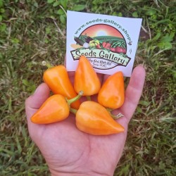 Variedades de Serbia