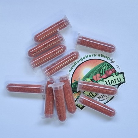 Price: €1.35 - Carolina Reaper polvere in una provetta, record del mondo! - Seeds Gallery