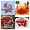 Price: €1.35 - Poudre Carolina Reaper dans un tube à essai, record du monde! - Seeds Gallery