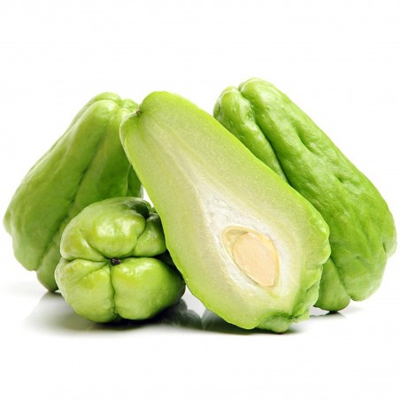 Price: €5 - Chayote graines (Sechium edule) - Seeds Gallery