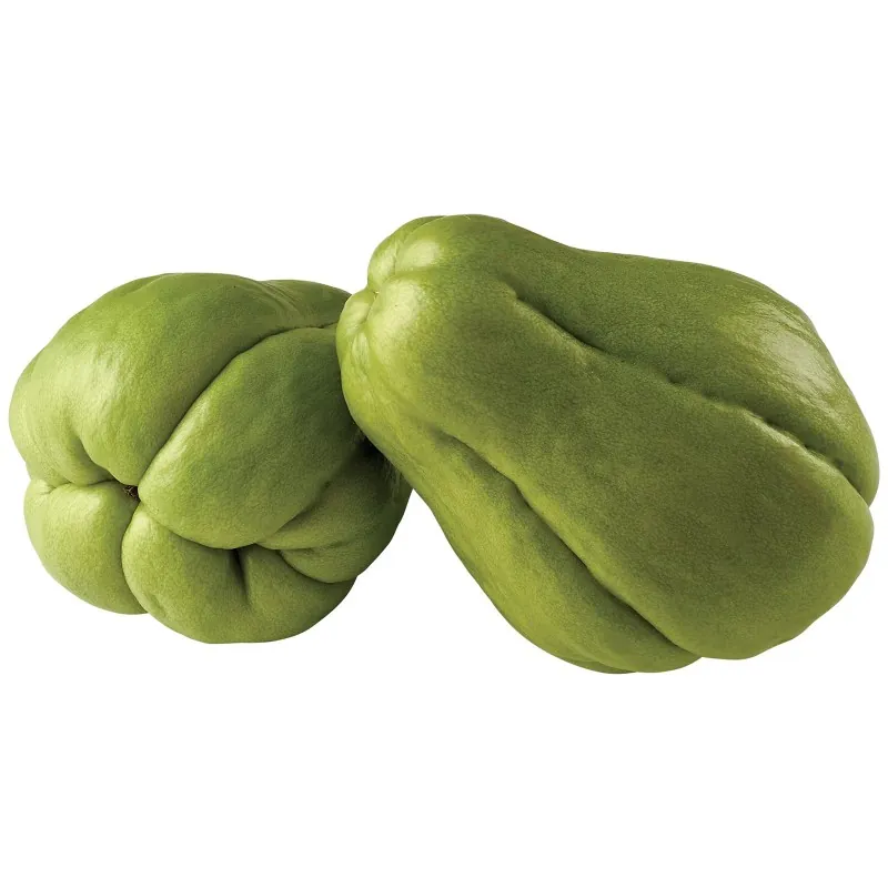 Chayote Semillas (Sechium edule)