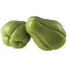 Chayote Semi (Sechium edule)