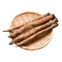Σπόροι λάππα TAKINOGAWA (Arctium lappa) - 1.65