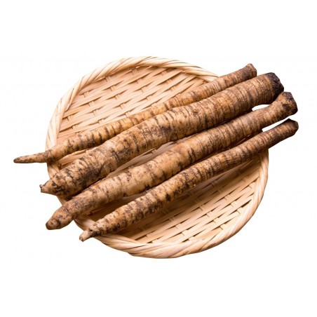Price: €1.65 - Burdock – Takinogawa Seeds Japanese Variety -