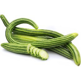 Semillas de pepino serpiente armenia - 2.295