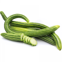 Price: €2.55 - بذور الخيار الأفعى الأرمنية - Seeds Gallery