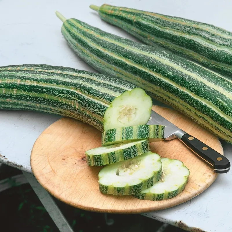 Armenian Snake Cucumber Seeds