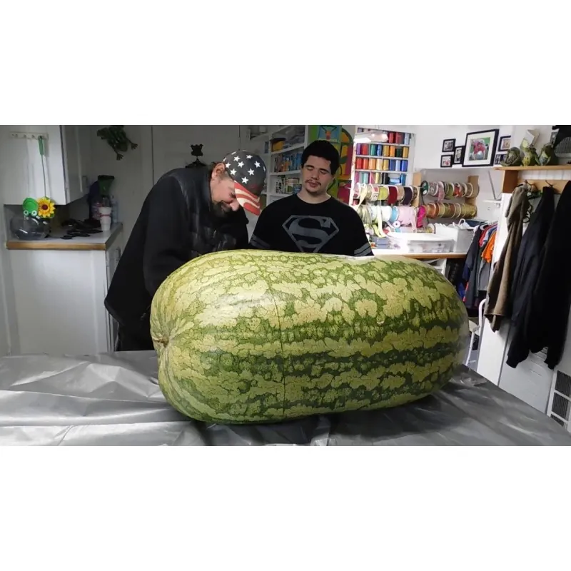 Giant Watermelon Seeds