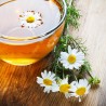 Price: €2.45 - Sementes de Camomil (Matricaria chamomilla) - 