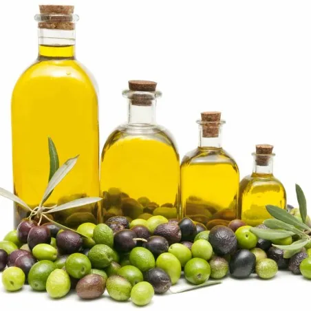Sementes de Kalamata Oliveira, variedade grega (Olea europaea)