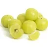 Semi di uva spina indiana Amla