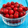 Price: €1.75 - Semi Di Biancospino  pianta medicinale - 