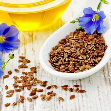 Common Flax Seeds (Linum usitatissimum)