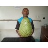 Semillas de Guanábana (Annona muricata)