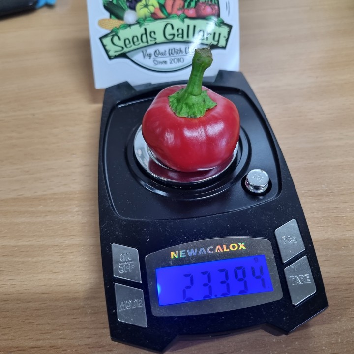 Duża Czerwona Wiśnia - Nasiona Chili - 193.527799
