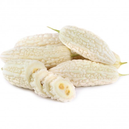 Price: €6.5 - Semi di Charantea Bianco (Momordica charantia) - Seeds Gallery