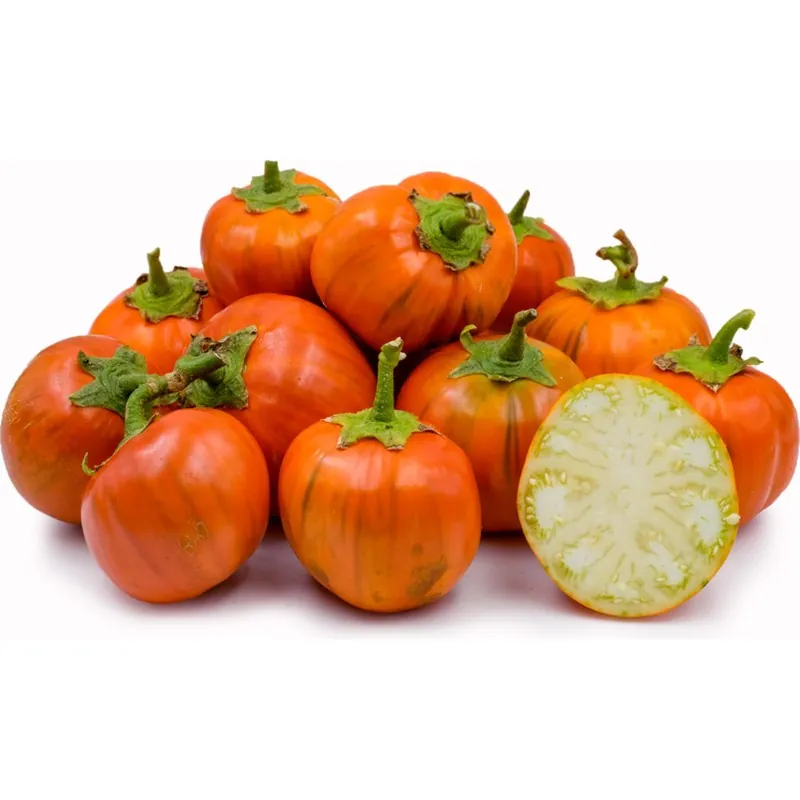 Semillas be Berenjena Turco, Berenjena Etíope (Solanum aethiopicum)