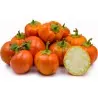 Semillas be Berenjena Turco, Berenjena Etíope (Solanum aethiopicum)