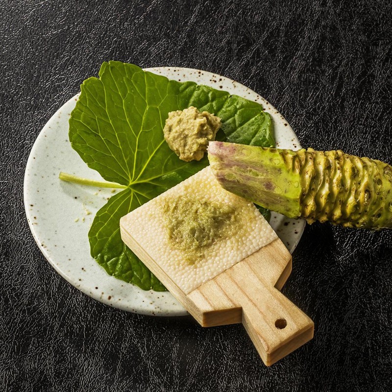 Price: €7.5 - Wasabi - Japanski Ren Seme (Wasabia japonica) - 