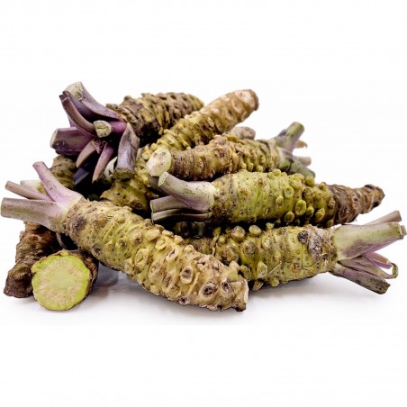 Price: €7.5 - Wasabi Καυτερό Αγριοράπανο σπόροι (Wasabia japonica) -
