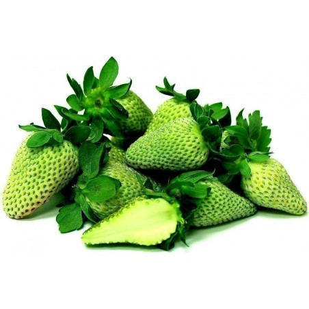 Sementes De Morango Verde - Aparência exótica | 4,50 €