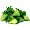 Semillas De Fresa Verde - Frutas Exóticas | 4,50 €