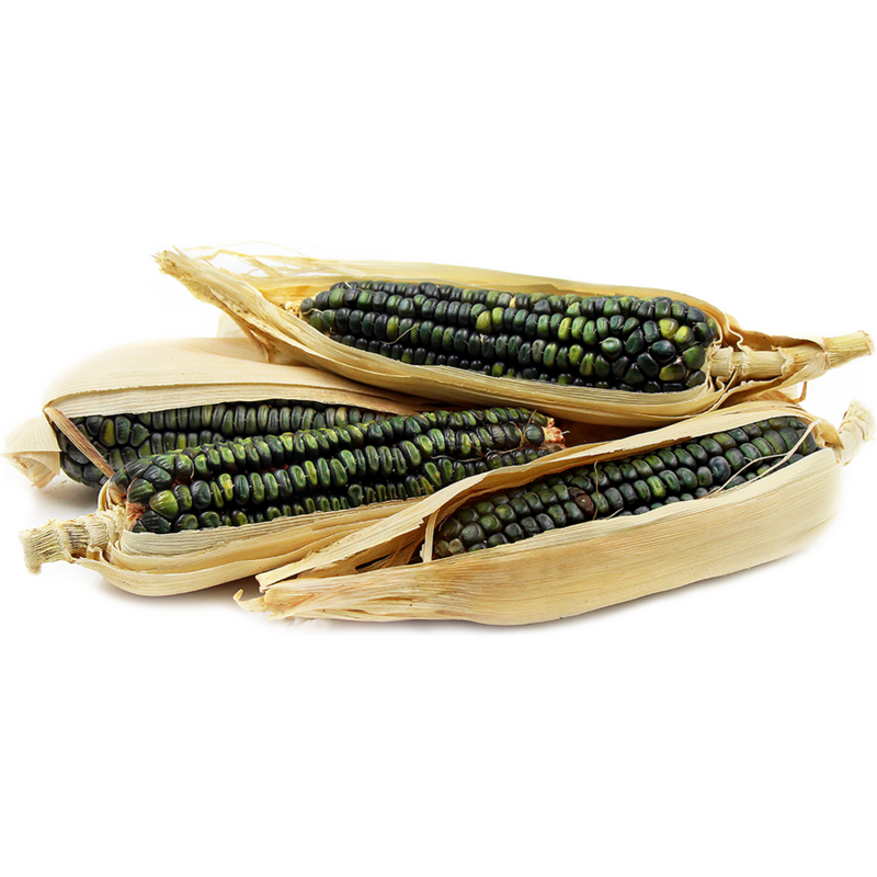 Price: €1.95 - Semi di mais dolce verde Oaxacan Green - 