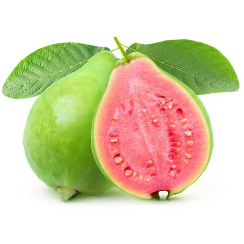 Sementes de goiaba comum (Psidium guajava)