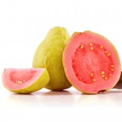 Guava Seme (Psidium gujava)