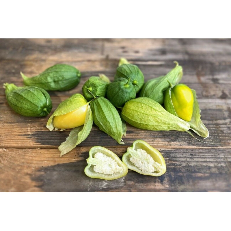 Samen Tomatillo Königin von Malinalco (Physalis Ixocarpa) | 4,50 €