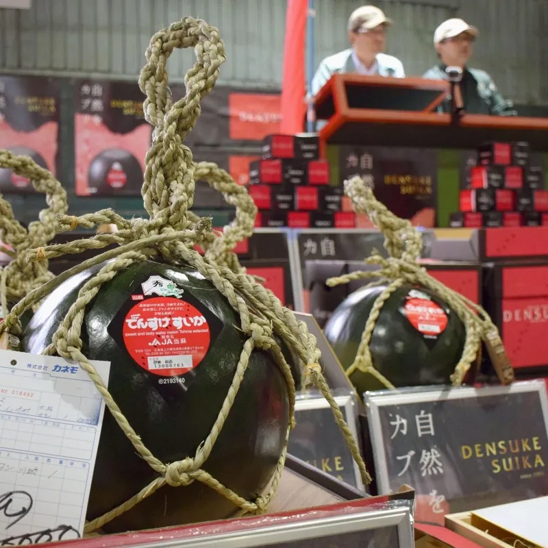 Japan Densuke Watermelon seeds