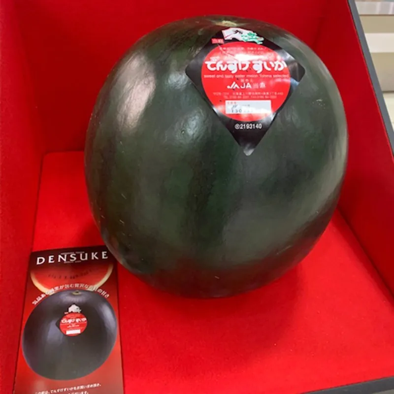 Japan Densuke Watermelon seeds