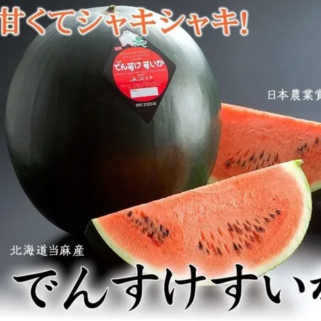Sementes de melancia Densuke Japão