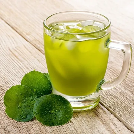 Semi di tigre del prato (Centella asiatica)